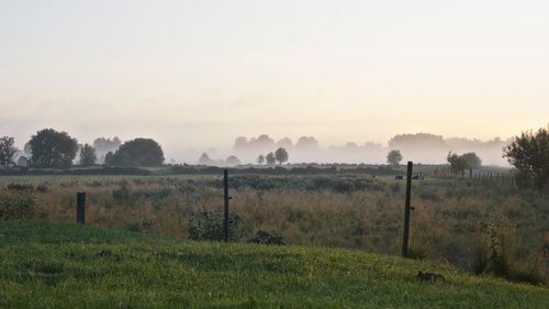 Scenic view of field against sky during sunset