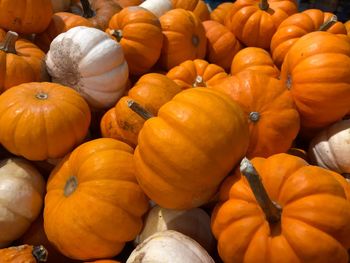 Full frame shot of pumpkins in market