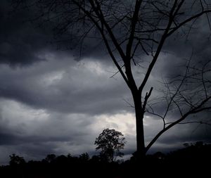 Silhouette of bare tree against cloudy sky