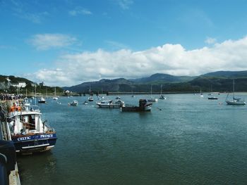 Boats moored at harbor