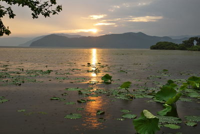 Scenic view of lake against sky during sunset