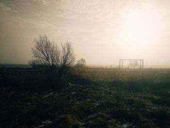 Bare tree on field against sky