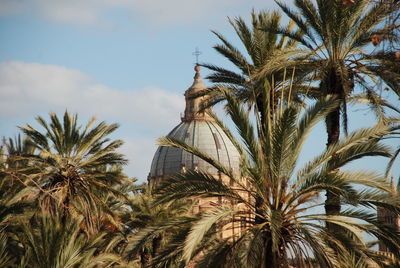 Low angle view of palm trees against sky