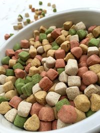 Close-up of dog food in bowl