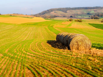 Hay bales on field against sky