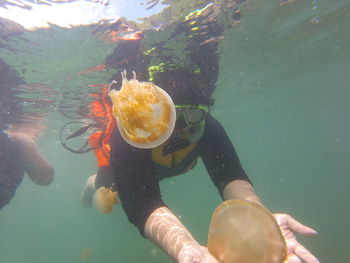 Snorkeling with orange jelly fish