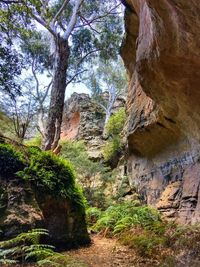 Rock formations on landscape