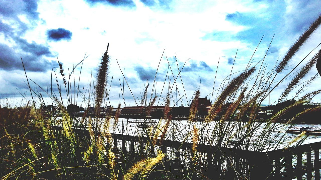 sky, cloud - sky, cloud, cloudy, plant, tranquility, nature, water, growth, tranquil scene, grass, built structure, wood - material, beauty in nature, scenics, outdoors, no people, day, lake, field