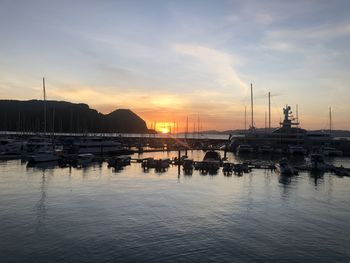 Sailboats in marina at sunset