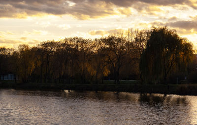 Silhouette trees by lake against sky during sunset