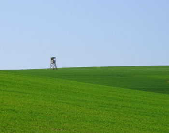 Scenic view of field against clear sky