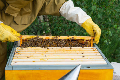 Midsection of man working at farm