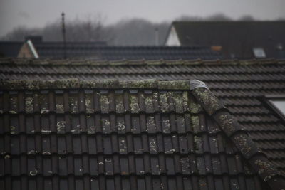 Close-up of roof