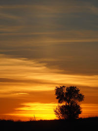 Silhouette trees on field against romantic sky at sunset