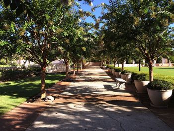 Narrow walkway in park