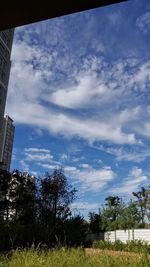 Low angle view of trees and buildings against sky