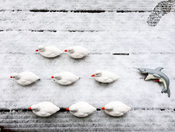 High angle view of toy ducks and shark on snow