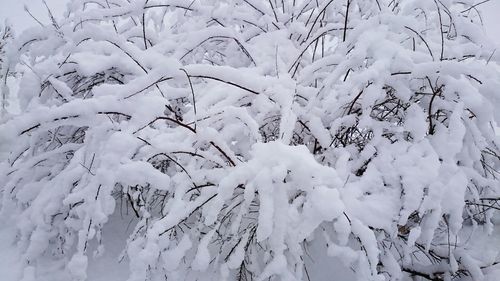 Full frame shot of snow covered pattern