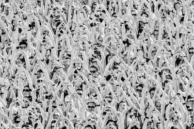 Full frame shot of crowd with arms raised