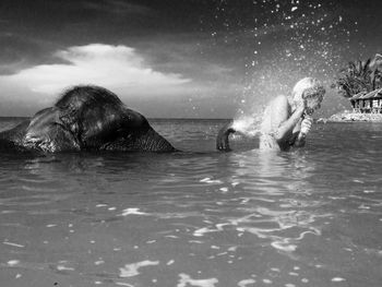 Elephant spraying water on woman in sea against sky