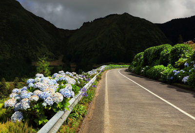 Road amidst plants and mountains against sky