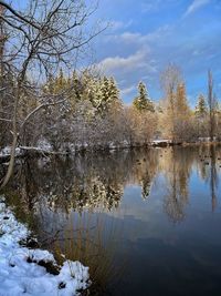 Reflection of bare trees in lake against sky