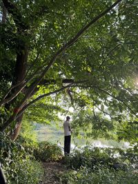 Low angle view of security camera on tree