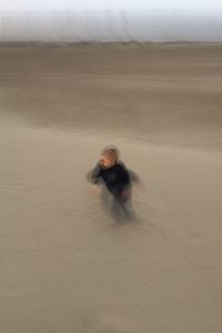 View of crab on sand