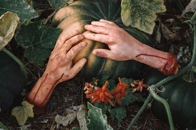 Close-up of hands and leaves
