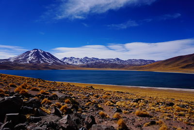 Scenic view of snowcapped mountains against blue sky