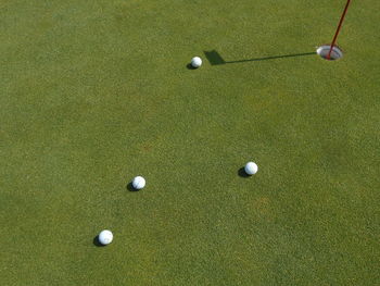 High angle view of balls on golf course
