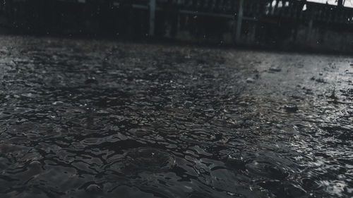 Full frame shot of raindrops on land