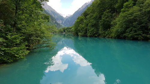 Scenic view of lake amidst trees in forest against sky