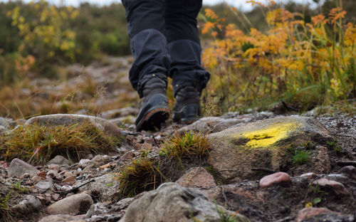 Low section of person walking on field at forest during autumn