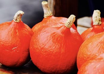 Close-up of pumpkins