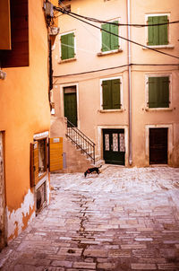 Street amidst buildings