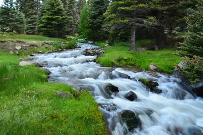 Scenic view of waterfall in forest