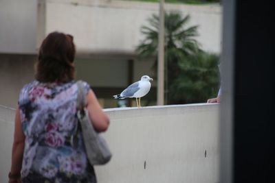 Rear view of woman standing by bird