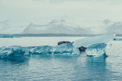 Glaciers floating on water landscape photo