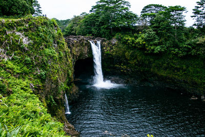 Scenic view of waterfall in forest