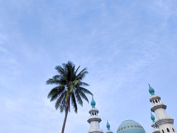 Low angle of palm tree and mosque roofline