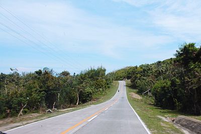 Empty road along trees