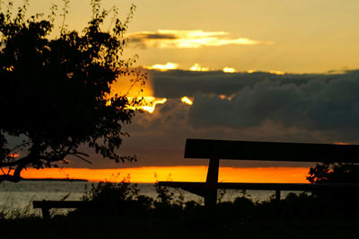Silhouette of trees at sunset