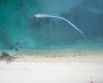 Person swimming in sea