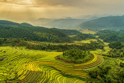 Scenic view of agricultural field against sky