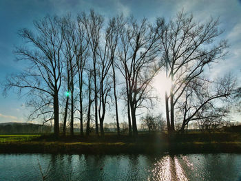 Bare trees by lake against sky