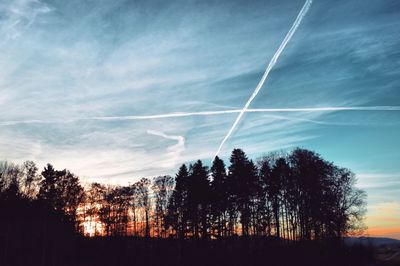 Low angle view of silhouette trees against sky