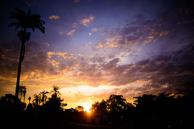 Low angle view of silhouette trees against sky during sunset