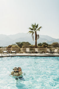 Swimming pool by palm tree against sky