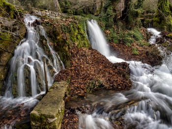 Scenic view of waterfall in forest